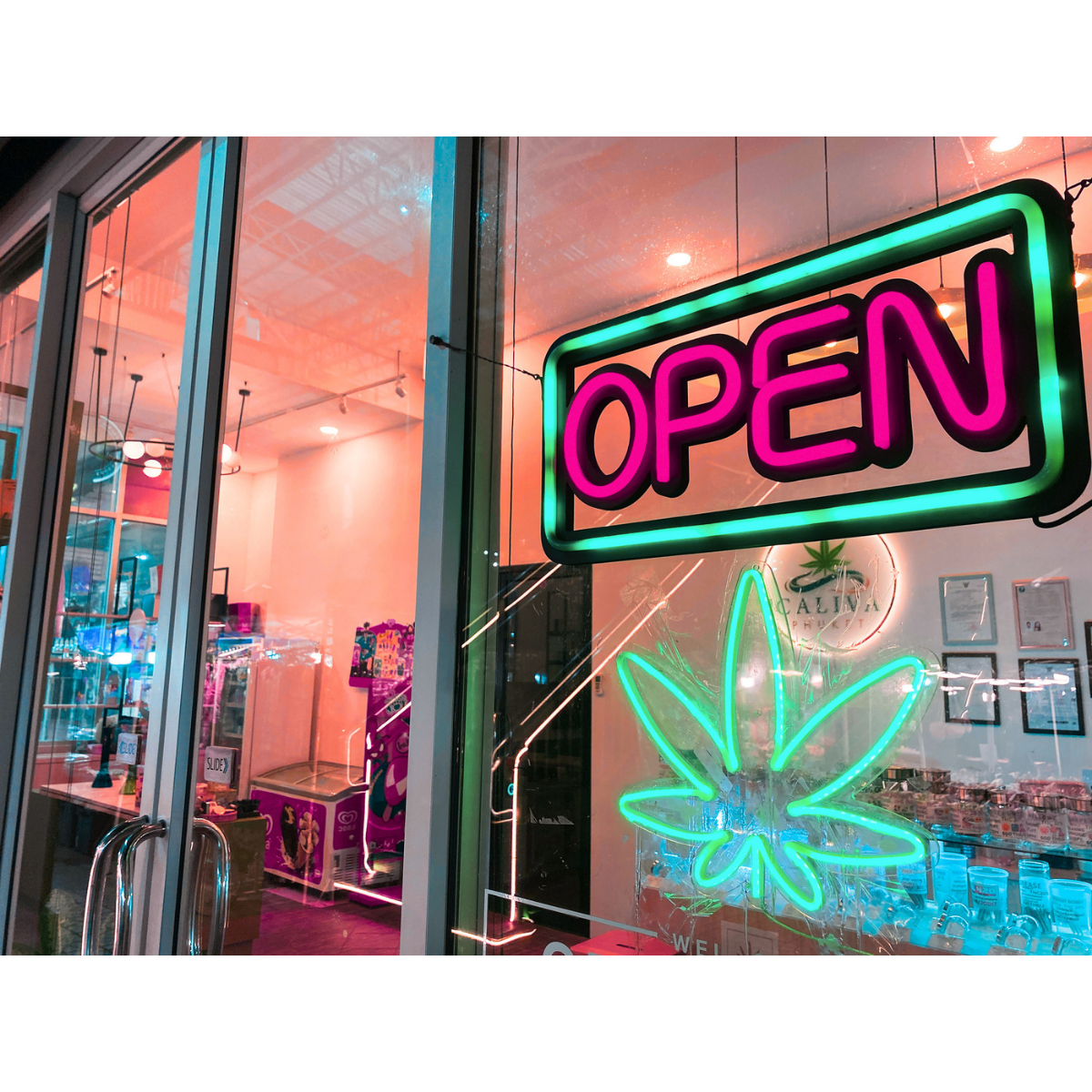  - Cannabis Insurance Company