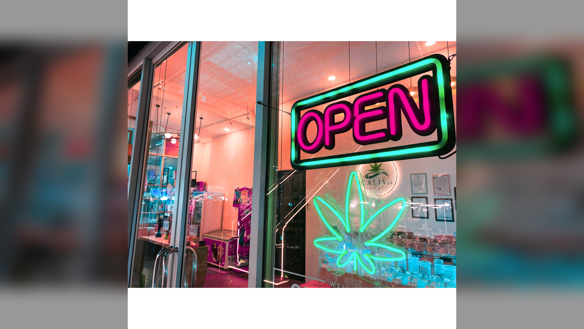  - Cannabis Insurance Company